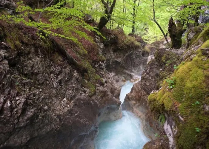 Juliana Dom wakacyjny *